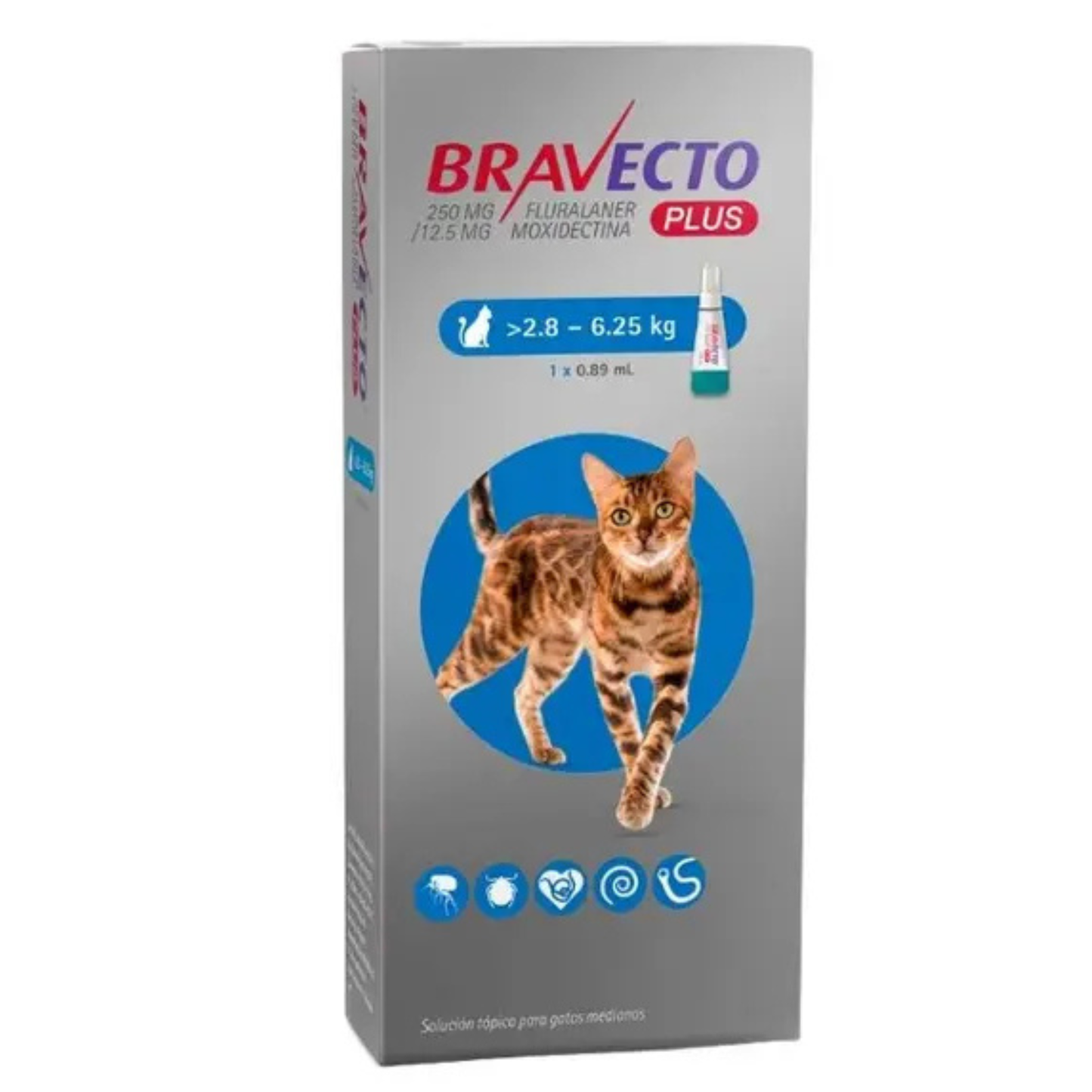 BRAVECITO GATO 2.8 - 6.25 KG